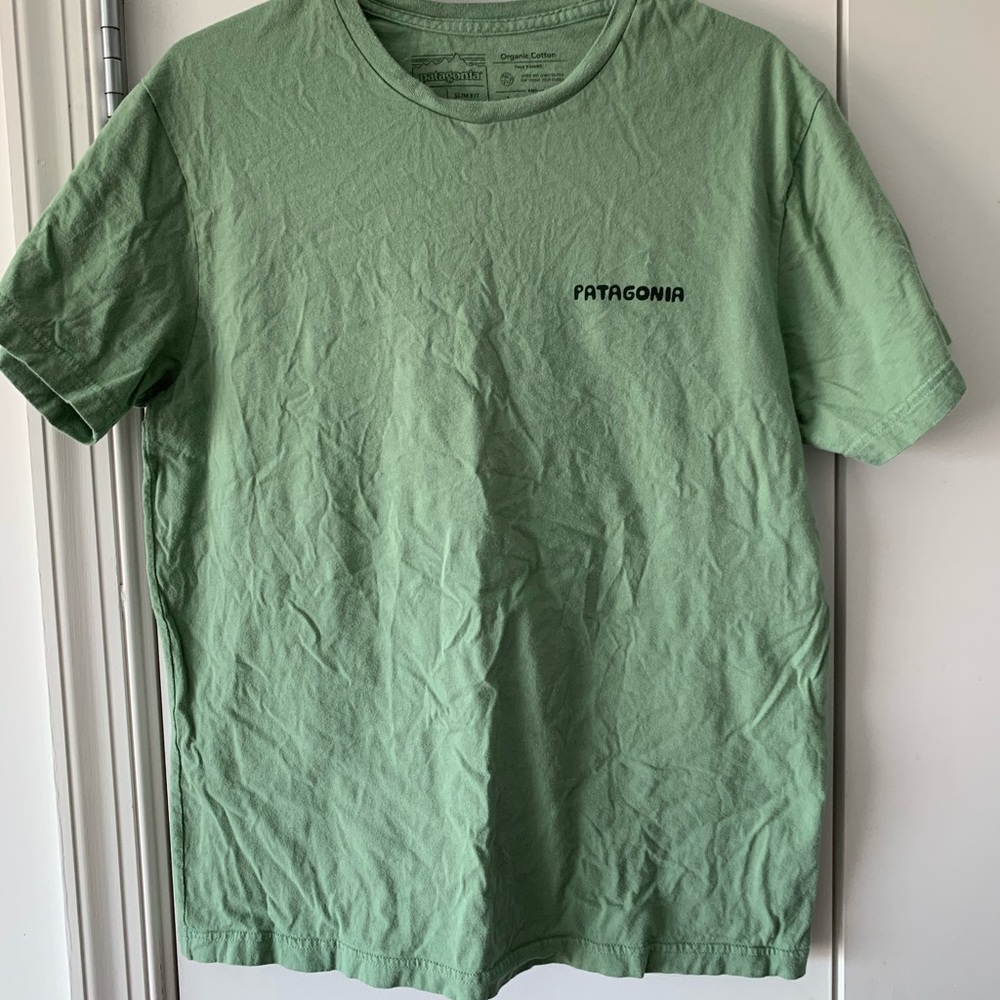 Patagonia tshirt